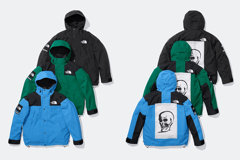 Supreme®/The North Face® Mountain Jacket