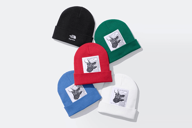 Supreme®/The North Face® Beanie