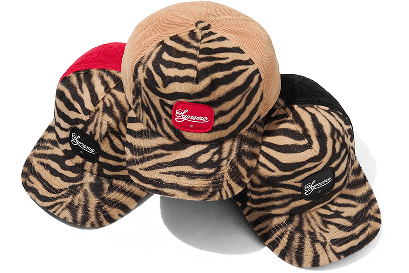 Tiger 5-Panel