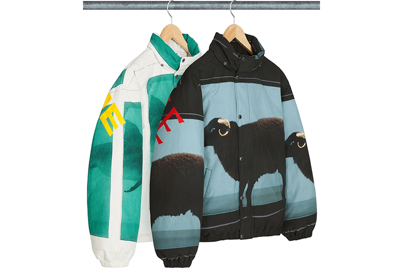 Supreme/Damien Hirst Down Puffer Jacket