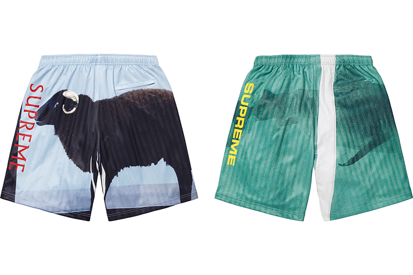 Supreme/Damien Hirst Soccer Short