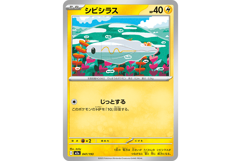 シビシラス シビシラス