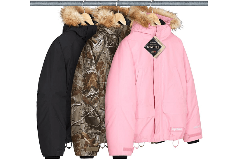 2-in-1 GORE-TEX Parka + Reversible 700-Fill Down Liner Jacket