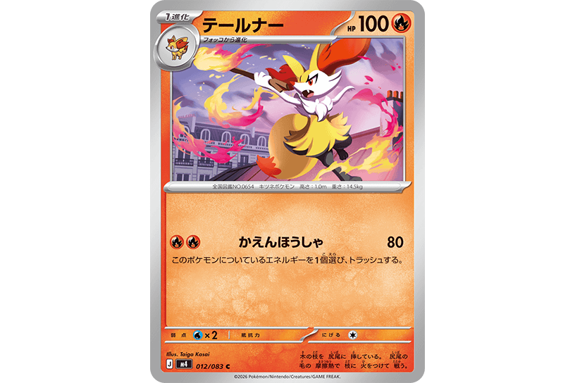 テールナー テールナー